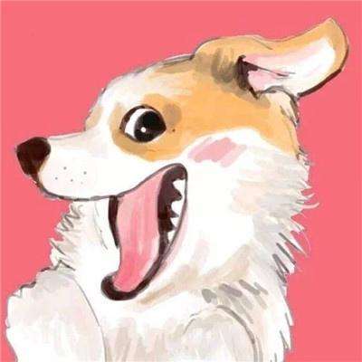 乐牛手游九灵神域下载